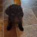 Wanda Norton - Facebook