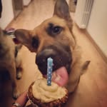 Wanda Norton - @hosonquix - Instagram