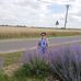Wanda Nowaczyk - Facebook