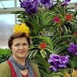 Wanda Nowak - @wanda.nowak.988 - Instagram
