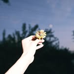 Wanda Ogden - @wandaogden271mdg - Instagram