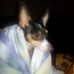 Wanda Osborn - Facebook