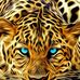 Wanda Austin - Facebook