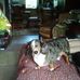 Wanda Raduenz Ostrander - Facebook