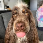 Wanda Boot - @wanda_ott72 - Instagram