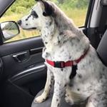 Wanda Owen - @wandaowen - Instagram