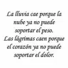 Wanda Pacheco - @wandapacheco0 - TikTok