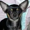 wandapalmer2671 - @wandapalmer2671 - TikTok