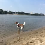 Wanda_parson_russell - @wanda_parson_russell - Instagram