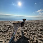 Wanda_parson_russell - @wanda_parson__russell - Instagram