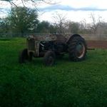 Wanda Patton - @stxbluebonnet - Instagram