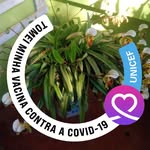 Wanda Concani Pedroso - @pedrosowanda - Instagram