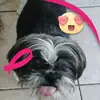 Wanda Lepeltier - @wandalepeltier - TikTok