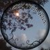 Wanda Pelletier - Facebook