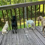 Wanda Pelt - @wanda_pelt - Instagram