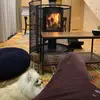 WandaBERTON - @wanda.berton5137 - TikTok