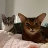 wanda & penny - @wanda_penny - TikTok