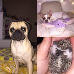 Pennyyyyyy - @penny.x.wanda.x.casmo - Instagram