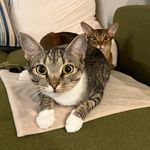 ᴡᴀɴᴅᴀ & ᴘᴇɴɴʏ - @wanda.n.penny - Instagram