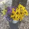 Wanda Pepper - @wanda.pepper - TikTok
