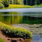 Wanda Poirier - Facebook