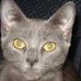 Wanda Pettus - Facebook