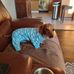 Wanda Payton - Facebook