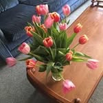 Wanda Pfeifer - @wandapfeifer - Instagram