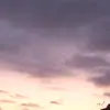 User76828 - @wandapickles - TikTok