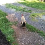 Wanda Pickle - @pickle772 - Instagram