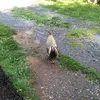 Wanda Pickle - @wanda.pickle - TikTok