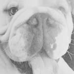 wanda - @wandapickle101 - Instagram