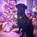 Wendy Breese - Facebook