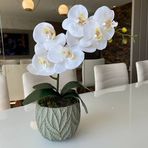 Wanda Pinheiro - Facebook