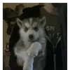 wandapinkham576 - @wandapinkham576 - TikTok