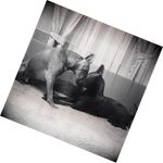 Wanda Piper - @wandapiper7542 - Instagram