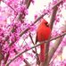 Wanda Piper - Facebook