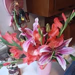 Wanda Pleasant - @wanda.pleasant.14 - Instagram