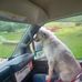 Wanda Pollock Reynolds - Facebook