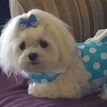 Wanda Pope - @wanda.pope.98 - Instagram