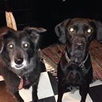 Wanda Guitzkow Post - @wandaguitzkow - Instagram