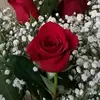 Wanda Press - @wanda.press - TikTok