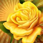 Wanda Proctor - @wanda.proctor.58 - Instagram