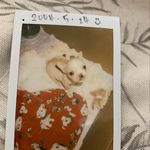 wanda ♡ fuku ♡ pucci - @wanda0524_2004 - Instagram