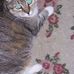 Wanda C Purdy - Facebook