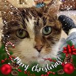 Wanda Purvis Brooksbank - @wandabrooksbank - Instagram