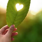 Wanda Putnam - Facebook