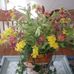 Wanda Radke - Facebook