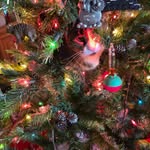Wanda Radke - @rradkew - Instagram