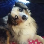 Wanda Radke - @wandaradke - Instagram